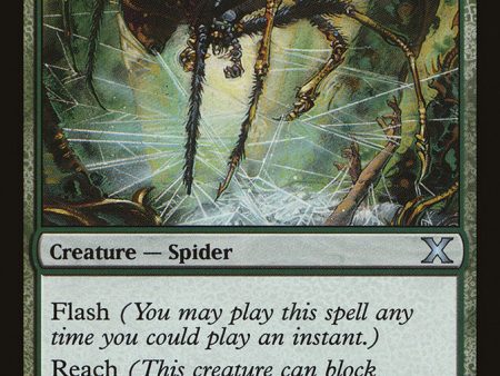 Tangle Spider [Tenth Edition] For Discount