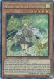 Wynn the Wind Channeler [MP21-EN158] Prismatic Secret Rare Online Hot Sale